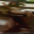 Naked girls rubbing boobs trees
