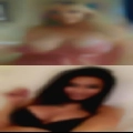 Swinger couples want fuck now