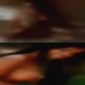 Free swingers with email
